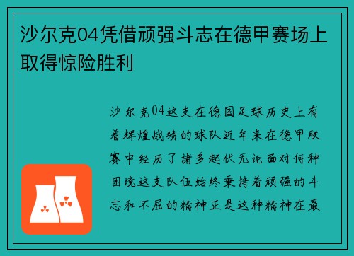 沙尔克04凭借顽强斗志在德甲赛场上取得惊险胜利
